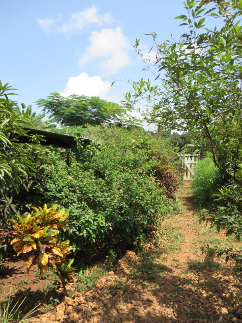 Bahati Diani House Glamping 迪亚尼海滩 外观 照片