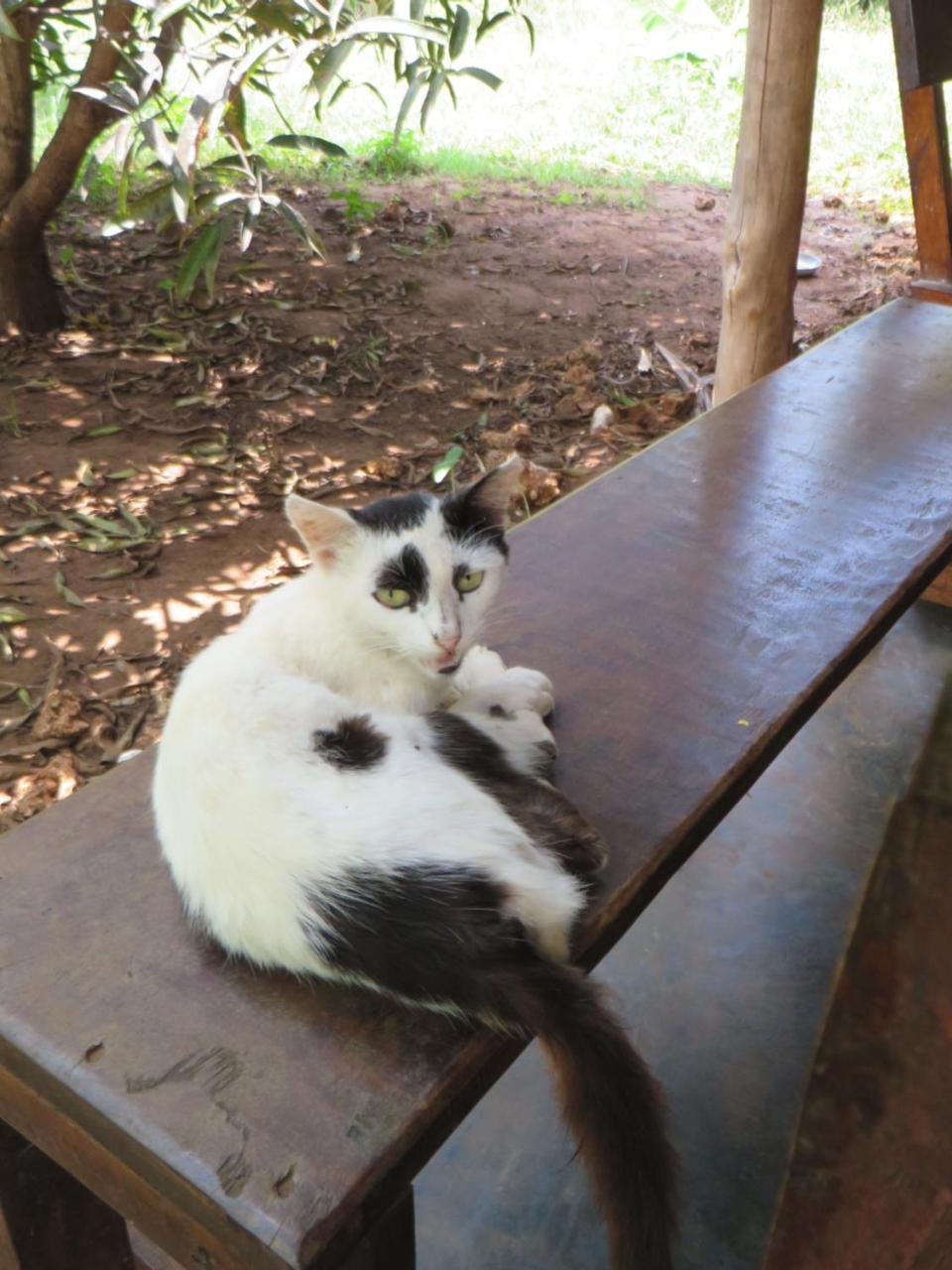 Bahati Diani House Glamping 迪亚尼海滩 外观 照片